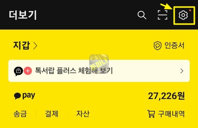 카카오톡 더보기 설정