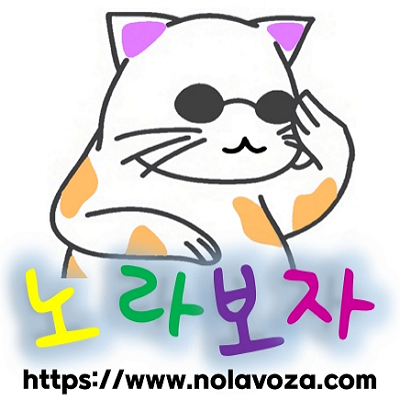 노라보자 닷컴 로고