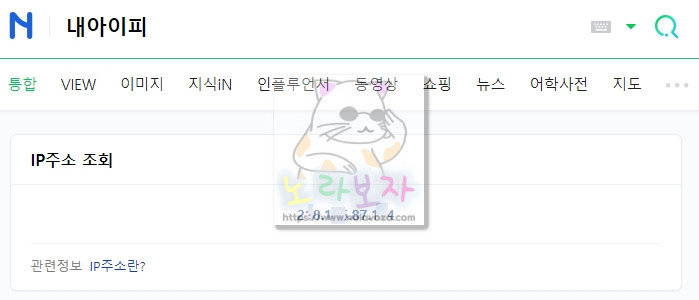 네이버 내아이피 검색결과