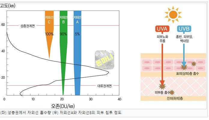 자외선 UV