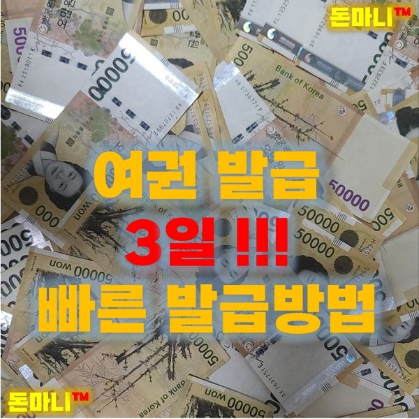 여권발급 3일 빠른 발급 방법