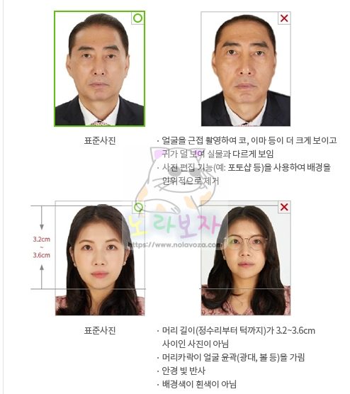 여권 사진 규격 예시
